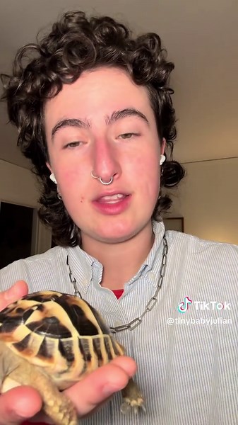 Julian the Tortoise Moves Into His Custom Cage