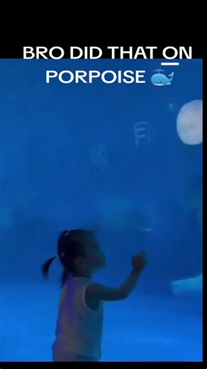 Intentional Fishing Prank at the Aquarium