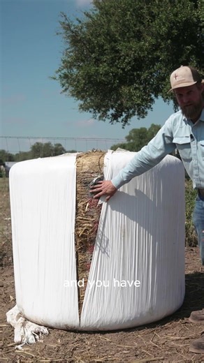 Wrapping Bales