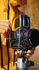 205K views · 5.8K reactions | A serene moment, nature’s beauty framed through a Hasselblad.   @elegy_chen, 203FE & CFV100C #Hasselblad #MediumFormat #LandscapePhotography | Hasselblad | Facebook