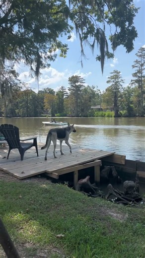 1976 Eliminator jet boat with a LS swap