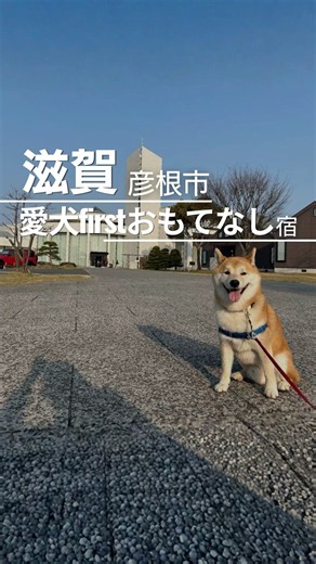 犬連れで、ここまでしてくれるの？😳
