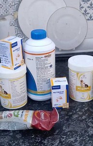 know the dog best multivitamin, Calcium, supplement - Doggyz World . . . . . . . . . . . . #dog #cat #dogsofinstagram #catsofinstagram #puppy #dogs #cats #pet #dogstagram #instadog #animals #catsagram #pets #instagood #sunset #love | Doggyz World