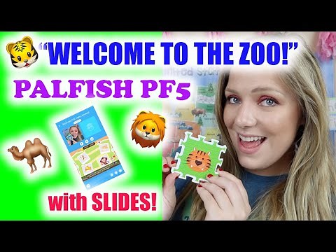 PALFISH PF5 | "WELCOME TO THE ZOO!" WALKTHROUGH & TIPS 2020