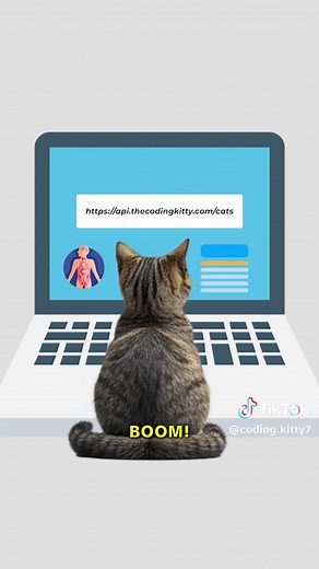Postman Explained by Cats: Coding & Testing