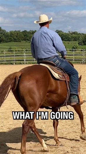 427K views · 6.7K reactions | Does your horse understand your leg? Try this! Join the 30 Day Canter Challenge for the full video, link in the comments! | Ryan Rose | Facebook