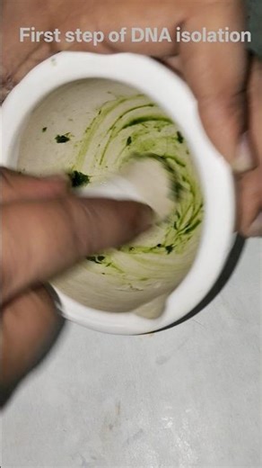 First step of DNA isolation by CTAB #airconditioner #airconditioner #experimentalphonk #experimentaL