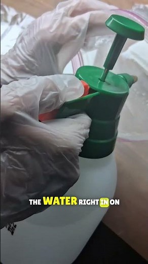 Seed Germination Method Using Paper Towel | Step-by-Step Growing Guide