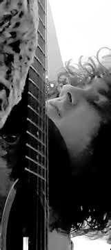 the lion sleeps tonight