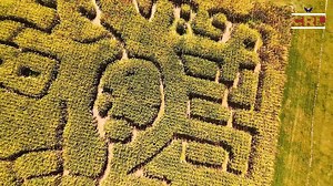 Take on the twists and turns of Summers Farm's #Gr8 Corn Maze with the Landestoy family on this week's ‘Caps Red Line.' Catch the latest episode, airing every day at 5 PM and always streaming on Monumental Sports Network at monsports.net/capscrl | Washington Capitals