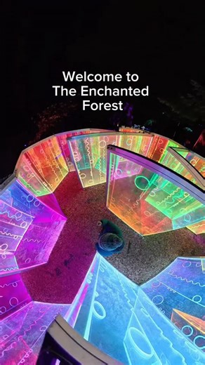 The Enchanted Forest, Pitlochry, Scotland 🏴󠁧󠁢󠁳󠁣󠁴󠁿 Running until 2nd November 🤩 | A Scots Eye View