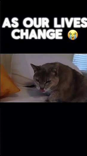 Sml precious edit (rip 2003-2021)