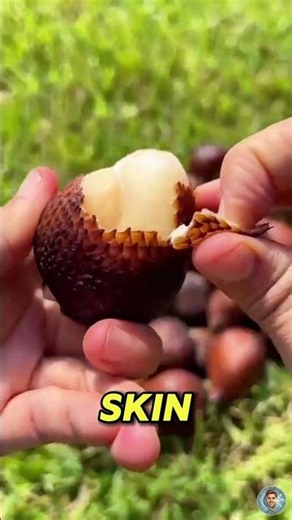 Top 5 Alien-Looking Fruits That Don’t Seem Real! 🛸 #Shorts #Rare