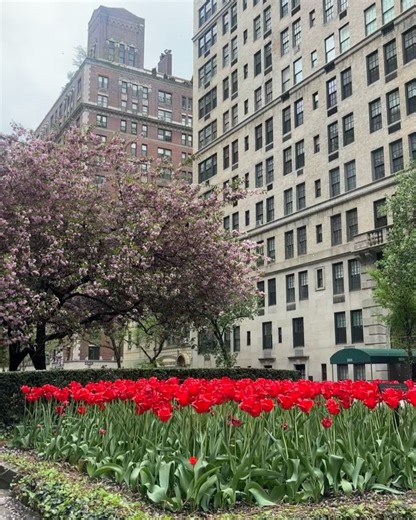 Nathaniel Buzolic on Reels