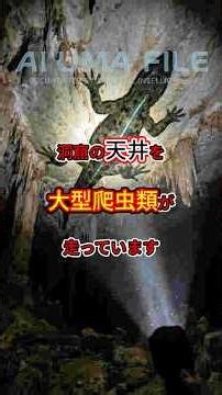 The Night a Giant Reptile Was Filmed Running Against Gravity on a Cave Ceiling | AI UMA FILE #072