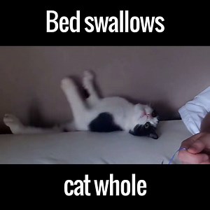 When life comes along and takes you with it. That reaction! 😂😂 | UNILAD