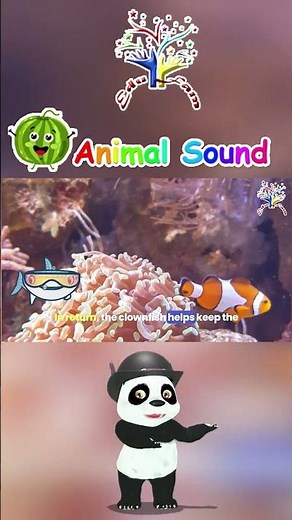The Animal | Clown Fish | Science for Kids | Best Learning Videos For Kids | EduFam ~