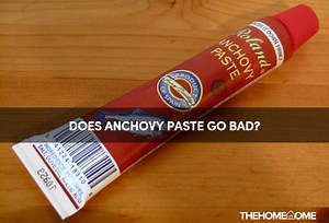 Does Anchovy Paste Go Bad? What You Should Know - The Home Tome
