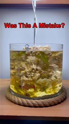 I Didn't Touch This Tide Pool for 3 Months