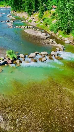 Leezy Aleeza on TikTok