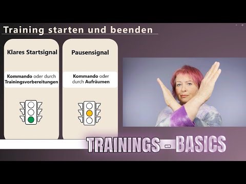 Starte NIE ohne diese Trainingsbasics!
