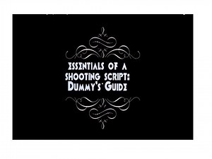 The essentials of a shooting script: A Dummy's Guide View Description for more..