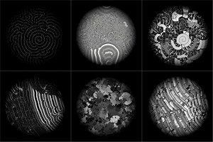 Generative Code Art. Cellular Automata - Vlad Krutenyuk