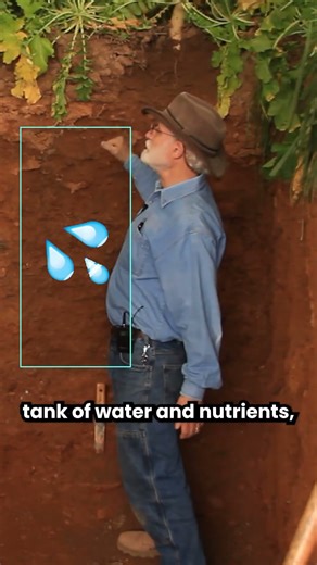 Does Farming Compacted Soil Lead to Poor Water Infiltration and Lost Profits?