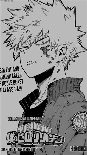 My Hero Academia Manga Panels