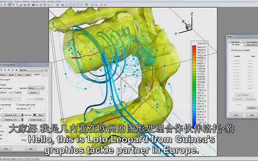 Tecplot 涡 流线 动态处理 Vortex Visualization in Tecplot