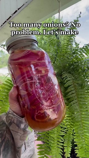 Delicious Pickled Red Onions Recipe for Self-Sufficient Preppers