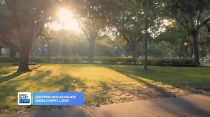 Actress Cheryl Ladd got her big break on "Charlie's Angel's" and today she's breaking all the molds. She joined DBL to chat with @Tory Shulman about aging with optimism and how she felt about replacing Farrah Fawcett on the hit show. | Daily Blast LIVE