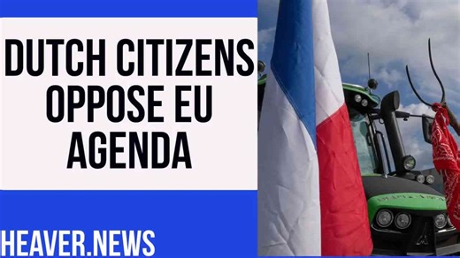 Dutch farmers revolt against EU nitrogen policy