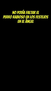 El perro rabioso en los festejos de la afición en el Ángel 🤣 | Bellezas del América