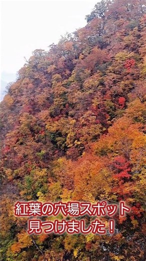 群馬で紅葉の穴場スポットを発見🍁✨