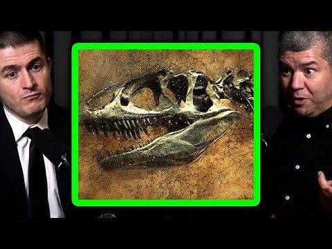 How to dig up dinosaur fossils: Paleontologist explains | Dave Hone and Lex Fridman
