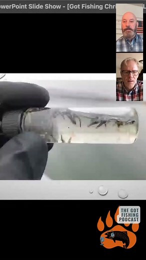 Got Fishing on TikTok