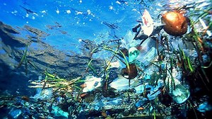 « Océans, le mystère plastique », à découvrir sur Arte