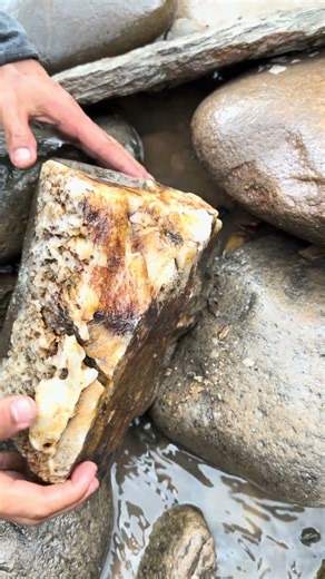 finding gold pieces between two fused stones