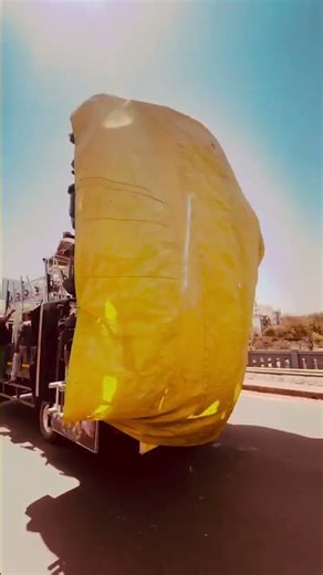 DAHOD KA RAJA 🤙🏻👑😎#dj #djsong #dance