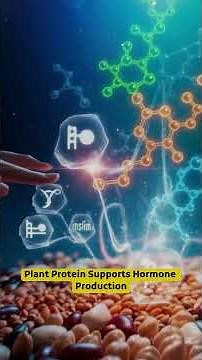 Unlocking the Power of Plant Protein for Hormonal Balance