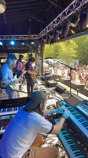 The Dogs doing THE FUNK | James Funk