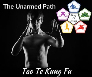 Learn Kung Fu Online on the Unarmed Path - Kung Fu Living