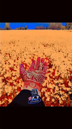 Ho mara kaam gareebon ki Himayat karna,,, #love #youtubeshorts #trending #viralsong #indianyoutuber