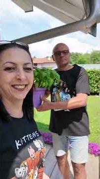 SAVE YOUR BASIL