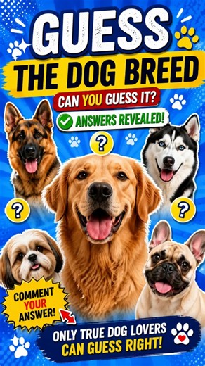 🐶 Guess the Dog Breed 🐾 | Answers Revealed!