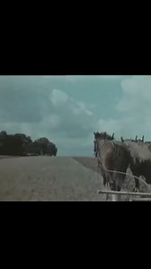 I love finding old farming footage. This footage was filmed in the late 1930s / early 1940s. I bet a lot of farmers can identify with the last statement made in this clip! Public domain video | Travis Chumley
