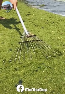 3.1K views | Catch seafood and special tools. | Fresh Air Online TV | Facebook