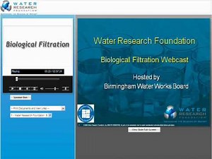 Biological Filtration Part 1 - Introduction