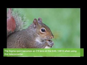User Review: Sigma 1.4x Teleconverter TC-1401 for Canon